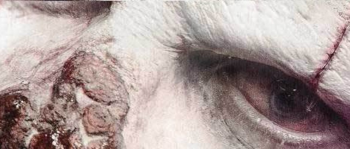 New Clip From Eli Roth’s “Clown”